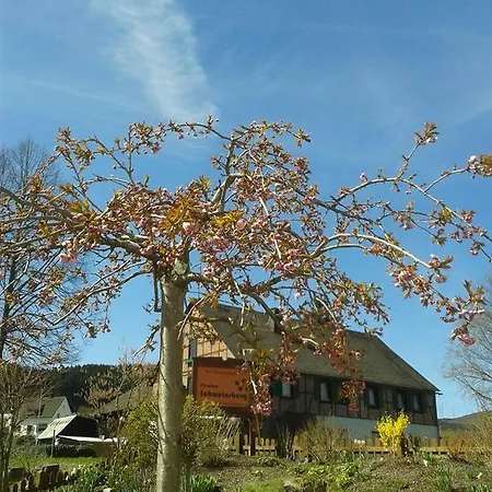 Gæstehus Und Schweinsberg Medebach