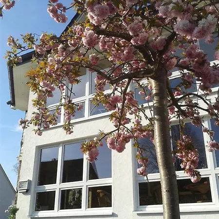 Und Schweinsberg 4* Medebach
