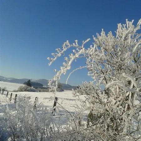 Gæstehus Und Schweinsberg