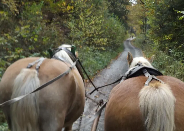 Gasthuis Und Schweinsberg