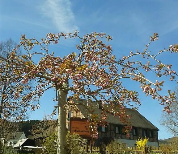 Gasthuis Und Schweinsberg Medebach