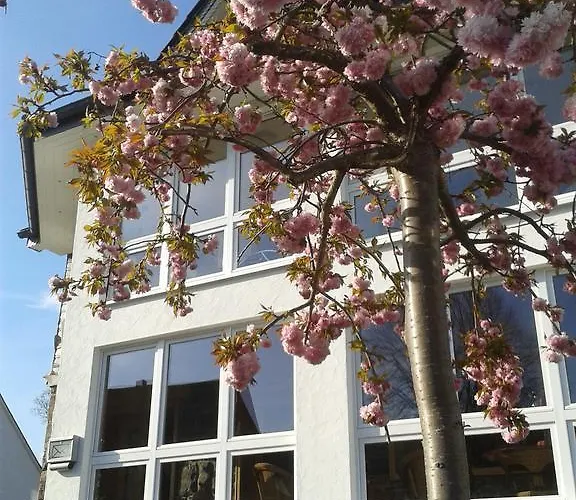 Und Schweinsberg 4* Medebach