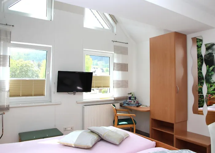 Gasthuis Und Schweinsberg