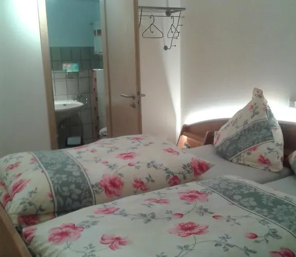 Und Schweinsberg 4* Medebach