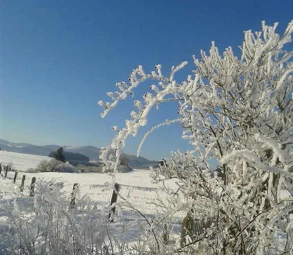 Gasthuis Und Schweinsberg
