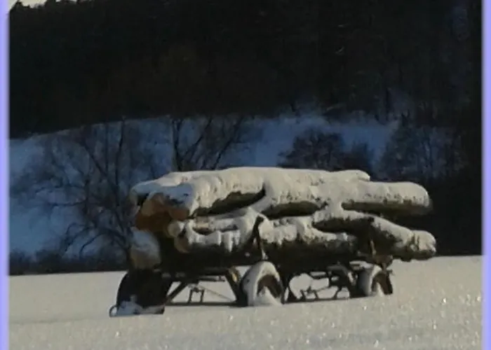 Und Schweinsberg 4* Medebach